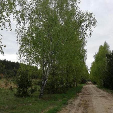 Szydlowiec Anastazewo Exteriér fotografie