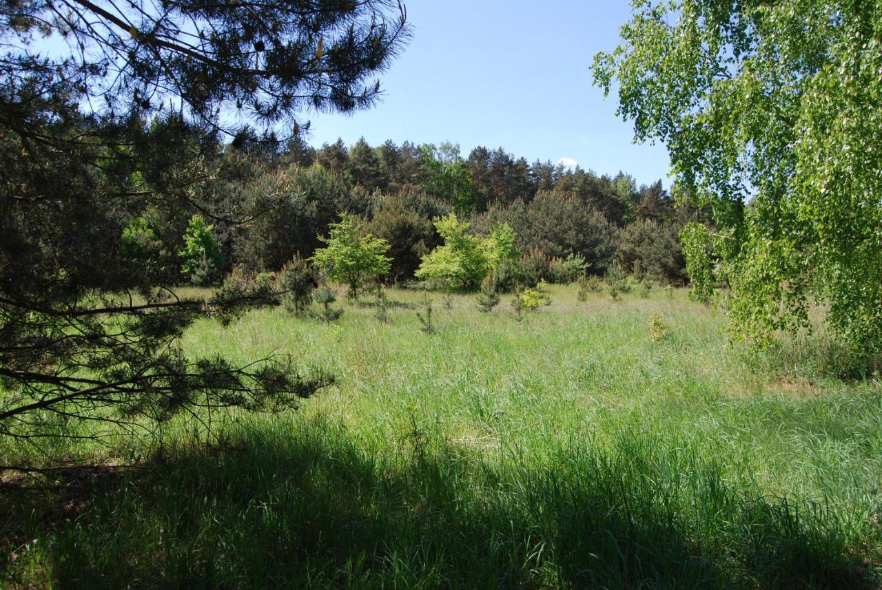 Szydlowiec Anastazewo Exteriér fotografie