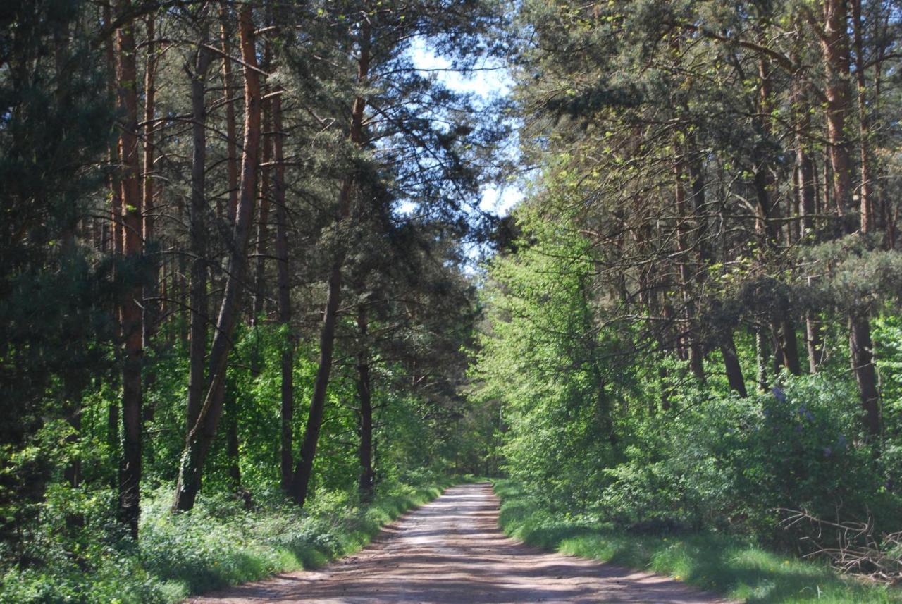 Szydlowiec Anastazewo Exteriér fotografie