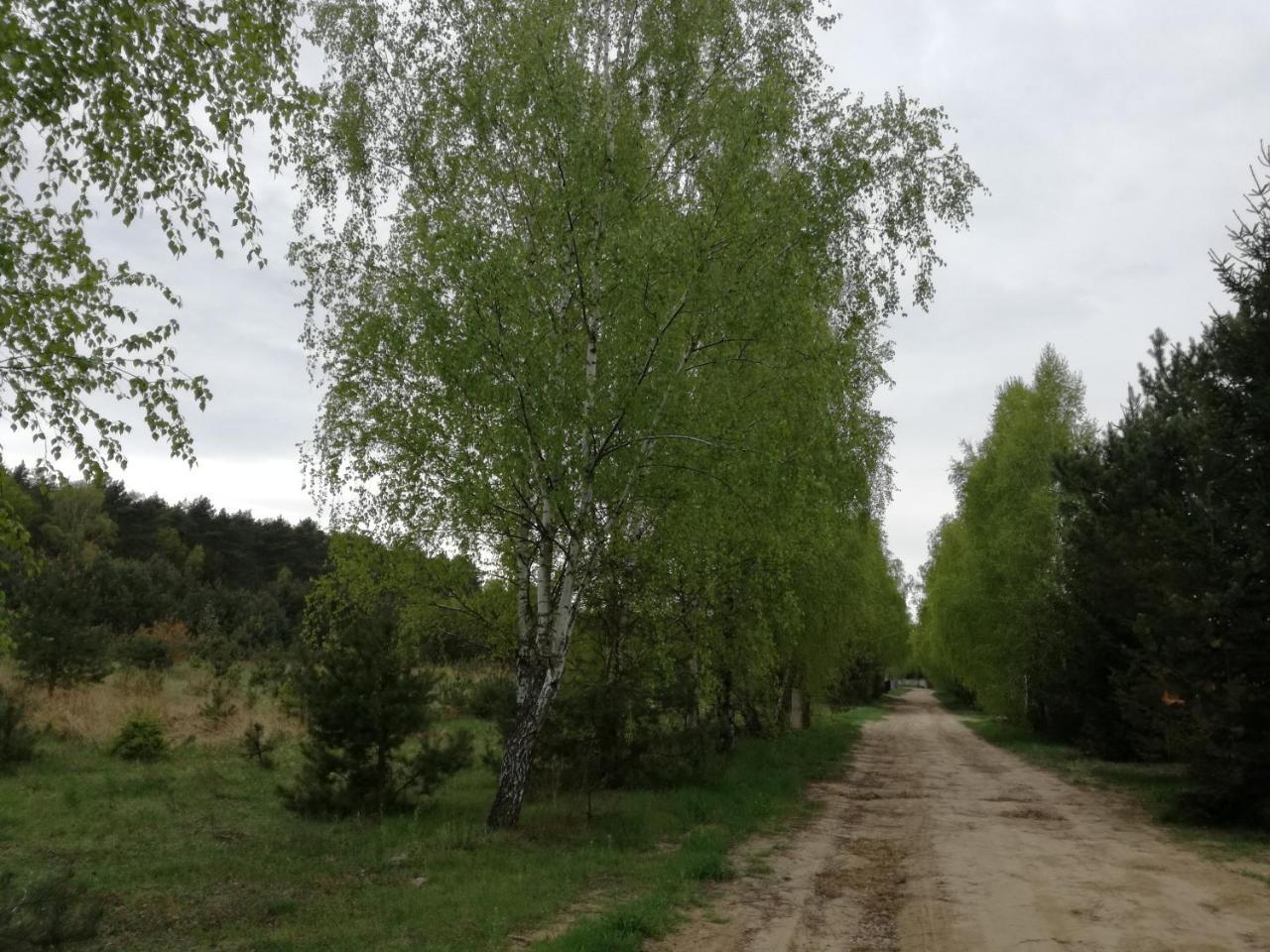 Szydlowiec Anastazewo Exteriér fotografie
